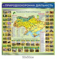 Природоохоронна діяльність в Україні: значення, напрями та сучасні підходи
