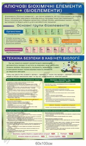 Стенд з правилами безпеки в кабінеті біології
