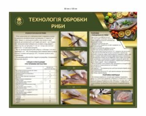 Стенд “Технологія обробки риби” для їдальні НГУ