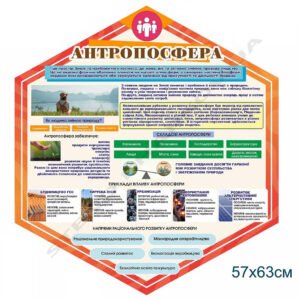 Інформаційний стенд “Антропосфера”